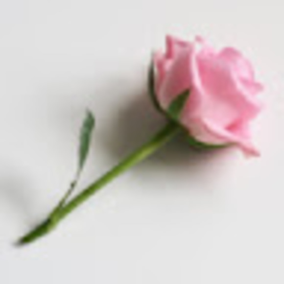 Meet your Posher, Gloria - Picture 1 of 1